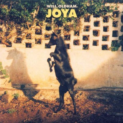 Will,Oldham,–,Joya,LP,Will Oldham, Joya, LP, Drag City, vinyl, vinilo