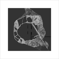 Product images  of 