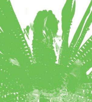 Iibiis,Rooge,–,LP,Iibiis Rooge, Iibiis Rooge, Dekorder, Vinyl, vinilo, comprar, twosteprecords, two step records, Two-Step Records