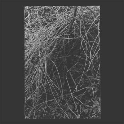 Annelies,Monsere,-,Nest,10,Annelies Monsere, Nest, Morc, 10, Vinyl