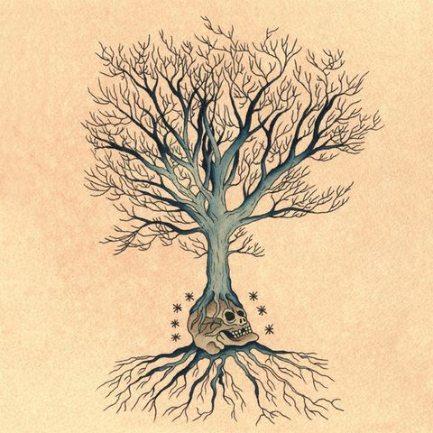 David,Daniell,&,Douglas,McCombs,‎–,Versions,2xLP,David Daniell & Douglas McCombs, Versions, Thrill Jockey, vinilo, vinyl, twosteprecords