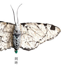 Product images  of 