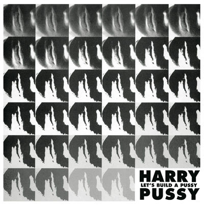 Harry,Pussy,‎–,Let's,Build,A,2xLP,Harry Pussy, Let's Build A Pussy, Editions Mego, 2012, vinilo, comprar, twosteprecords, two step records, Two-Step Records