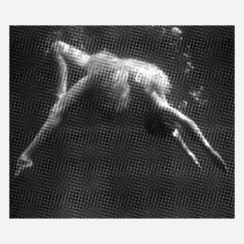 The,North,Sea,-,Tacazze,Sunbirds,LP,The North Sea, Tacazze Sunbirds, Crazy Iris, LP, vinyl