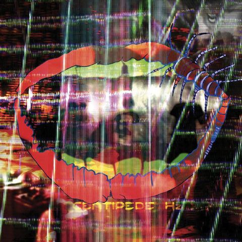 Animal,Collective,‎–,Centipede,Hz,2xLP/2xLP+DVD,Animal Collective, Centipede Hz, vinilo, Domino, LP, CD, DVD