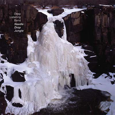 Deep,Listening,Band,‎–,Needle,Drop,Jungle,2xLP,Deep Listening Band, Needle Drop Jungle, Taiga, LP, vinyl