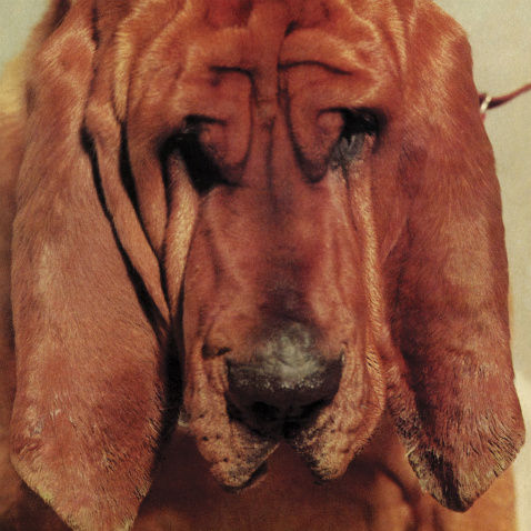 Ty,Segall,‎–,Goodbye,Bread,LP,Ty Segall, Goodbye Bread, Drag City, LP, vinilo, vinyl