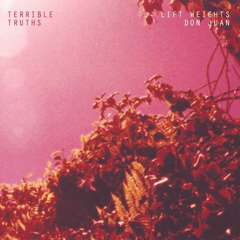 Terrible,Truths,‎–,Lift,Weights,/,Don,Juan,7,Terrible Truths, Lift Weights, Mexican Summer, vinilo, comprar, twosteprecords, two step records, Two-Step Records