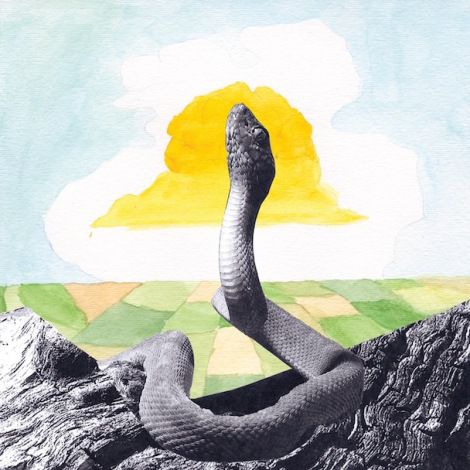 Woods,‎–,Bend,Beyond,LP, Bend Beyond, Woodsist, Vinyl, vinilo, comprar, twosteprecords, two step records, Two-Step Records