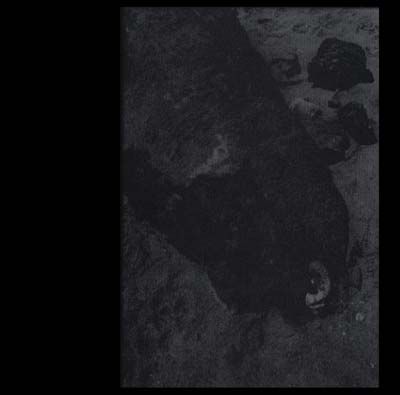 Alvarius,B.,‎–,2xLP,Alvarius B., Alvarius B., Abduction, LP, vinyl
