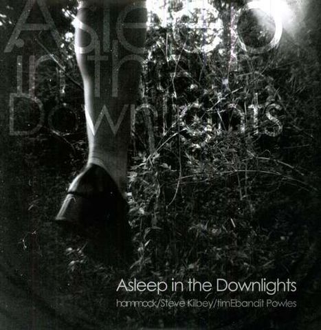Hammock,/,Steve,Kilbey,timEbandit,Powles,‎–,Asleep,In,The,Downlights,EP,Hammock / Steve Kilbey / timEbandit Powles, Asleep In The Downlights, Hammock Music, EP, LP, vinyl
