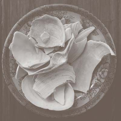 Bee,Mask,‎–,Vaporware,/,Scanops,LP,Bee Mask, Vaporware, Scanops, LP, Room40, vinyl