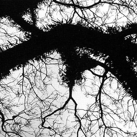 Magnetik,North,-,Evolver,2xLP,Magnetik North, Evolver, Inky Blackness, LP, vinyl