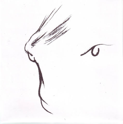 Vincent,Over,The,Sink,‎–,Dust,Studies,7,Vincent Over The Sink, Dust Studies, Kye, 7, vinyl