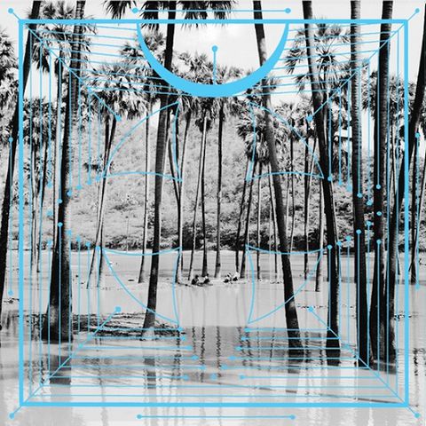 Four,Tet,‎–,Lion,/,Peace,For,Earth,12,Four Tet, Lion / Peace For Earth, Text Recordings, 12, vinyl