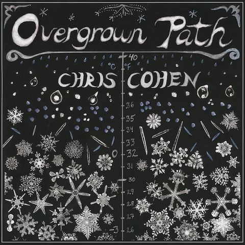Chris,Cohen,‎–,Overgrown,Path,LP,Chris Cohen, Overgrown Path, LP, Captured Tracks, Vinilo, vinilo, comprar, twosteprecords, two step records, Two-Step Records