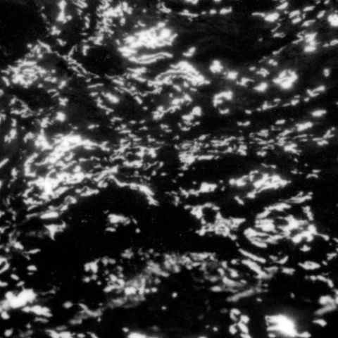 Grouper,‎–,A,I,A:,Dream,Loss,LP, A I A : Dream Loss, Yellow Electric, LP, vinyl