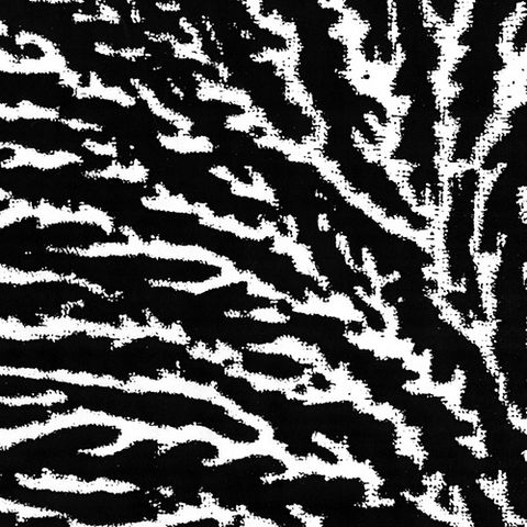 Grouper,‎–,Cover,The,Windows,And,Walls,LP, Cover The Windows And The Walls, Yellow Electric, LP, vinyl