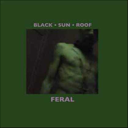Black,Sun,Roof,‎–,Feral,LP+CD,Black Sun Roof, Feral, VHF, vinyl