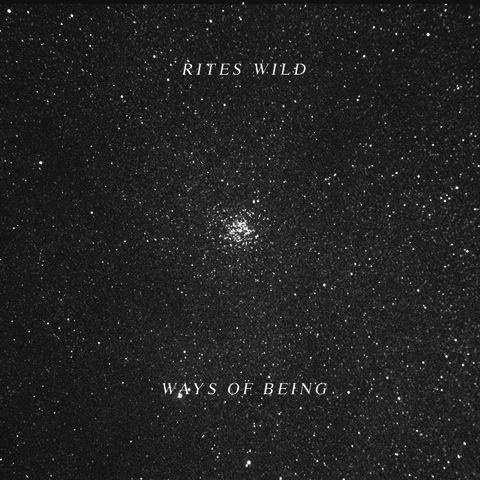 Rites,Wild,‎–,Ways,Of,Being,LP,Rites Wild, Ways Of Being, Not Not Fun, Vinyl, vinilo, comprar, twosteprecords, two step records, Two-Step Records