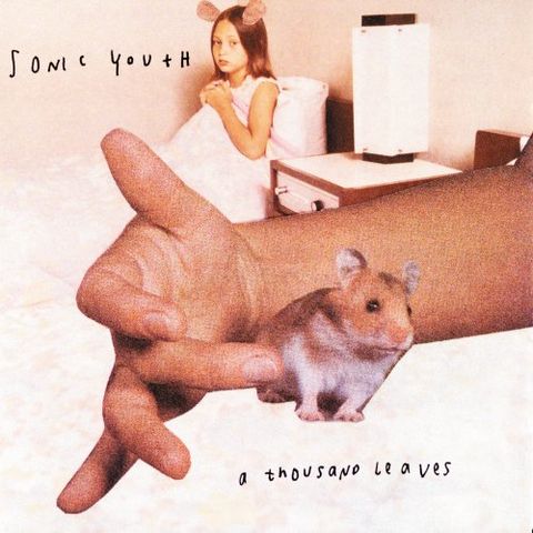 Sonic,Youth,‎–,A,Thousand,Leaves,2xLP,Sonic Youth, A Thousand Leaves, Goofin' Records, LP, vinyl