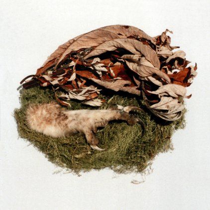 Bird,By,Snow,‎–,Offering,LP,Bird By Snow, Offering, Gnome Life, LP, vinyl