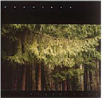 Prurient,‎–,Black,Vase,2xLP, Black Vase, LP, Load, vinyl