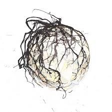 Ben,Bennett,‎–,Spoilage,LP,Ben Bennett, Spoilage, Experimedia, LP, 2011, vinilo, comprar, twosteprecords, two step records, Two-Step Records