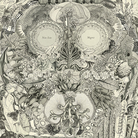 Nite,Lite,‎–,Mergrez,LP,Nite Lite, Mergrez, Desire Path, vinilo, comprar, twosteprecords