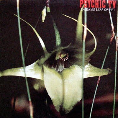 Psychic,TV,‎–,Dreams,Less,Sweet,LP,Psychic TV, Dreams Less Sweet, Angry Love, LP, vinyl