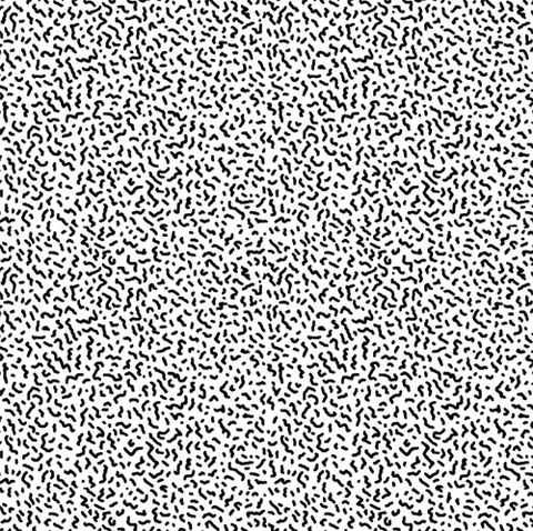 White,Car,‎–,Everyday,Grace,LP,White Car ‎– Everyday Grace, Hippos In Tanks, LP, vinilo, comprar, twosteprecords, two step records, Two-Step Records