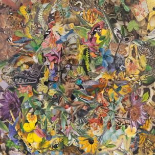 Warm,Climate,‎–,Glass,Singer,LP,Warm Climate, Glass Singer, Monofonus Press, LP, vinyl