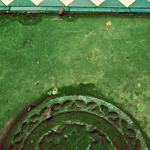 Leven,Signs ‎– Hemp,Is,Here,LP,Leven Signs, Hemp Is Here, LP, Digitalis, 2012, vinilo, comprar, twosteprecords, two step records, Two-Step Records