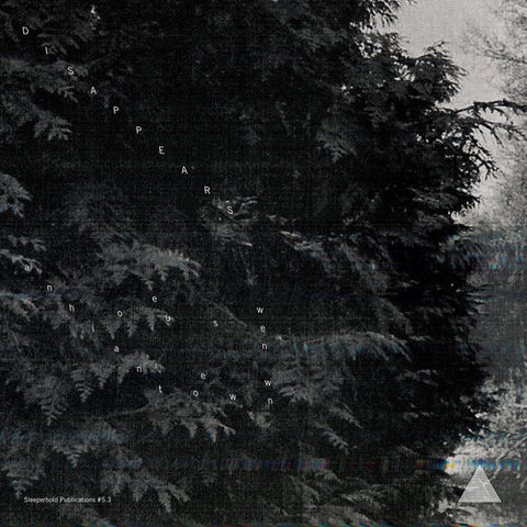 Disappears,‎–,A,New,House,In,Town,EP, A New House In A New Town, Sleeperhold Publications, LP, Limited, vinyl
