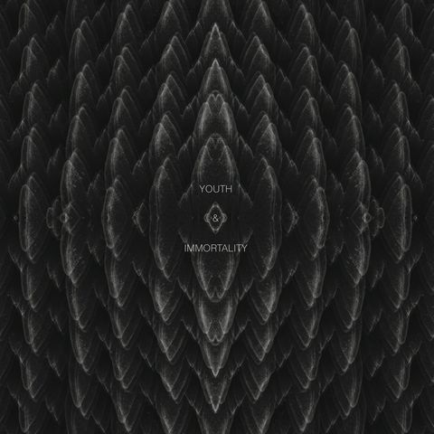 PHOSPHOR,-,YOUTH,&,IMMORTALITY,LP, YOUTH & IMMORTALITY , Desire Records, LP