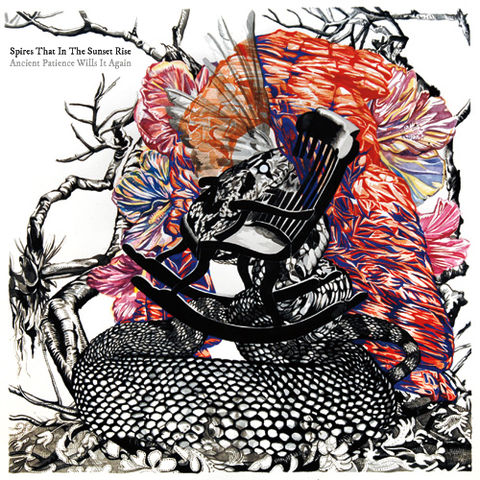 Spires,That,In,The,Sunset,Rise,‎–,Ancient,Patience,Wills,It,Again,I,LP,Spires That In The Sunset Rise, Ancient Patience Wills It Again, Hairy Spider Legs, LP, vinyl