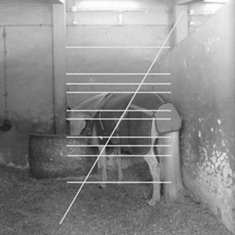 Mohammad,‎–,Som,Sakrifis,LP, Som Sakrifis, PAN, Vinyl, vinilo, comprar, twosteprecords, two step records, Two-Step Records