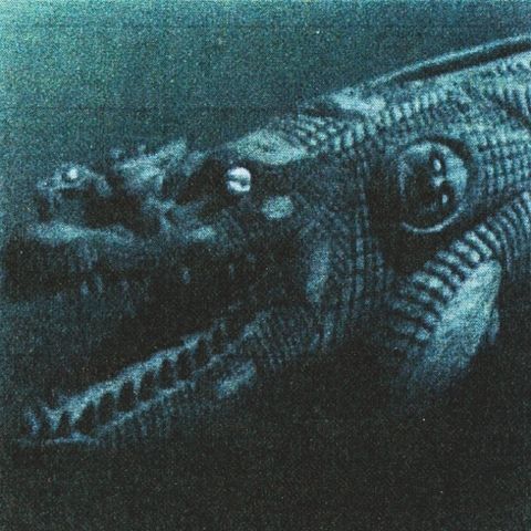 Rainforest,Spiritual,Enslavement,‎–,Black,Magic,Cannot,Cross,Water,LP,Rainforest Spiritual Enslavement, Black Magic Cannot Cross Water, Blackest Ever Black, LP, vinilo, comprar, twosteprecords