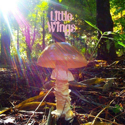 Little,Wings,‎–,Last,2xLP,Little Wings, Last, Rad, vinyl, LP