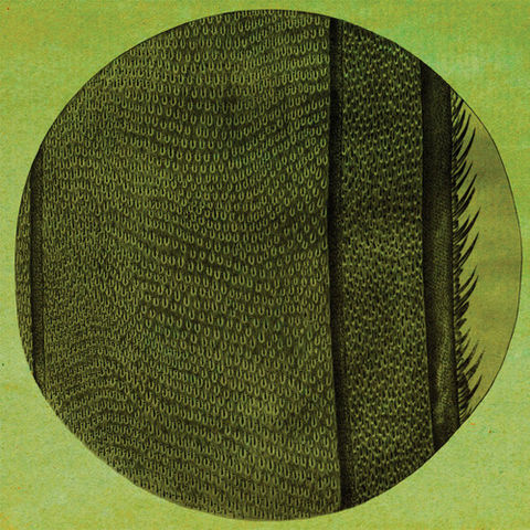 Micah,Blue,Smaldone,‎–,The,Ring,Of,Rise,LP,Micah Blue Smaldone, The Ring Of The Rise, Immune, vinilo, comprar, twosteprecords