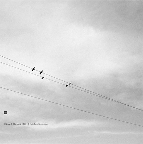 Olivier,Di,Placido,&,SEC_,‎–,Testacoda,LP,Olivier Di Placido & SEC_, Testacoda, Bocian Records, LP