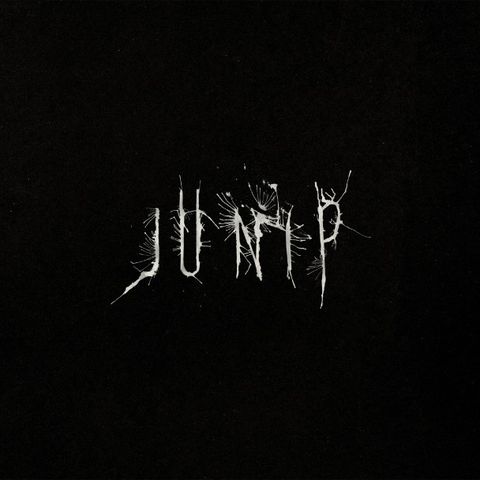 Junip,‎–,LP,(RSD,2013), Junip, City Slang, LP, vinyl