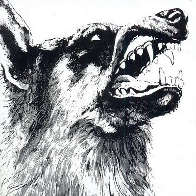 Crippled,Black,Phoenix,‎–,I,,Vigilante,LP,Crippled Black Phoenix ‎– I, Vigilante, Invada, color, vinyl, LP