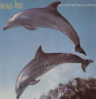 Orange,Juice,‎–,You,Can't,Hide,Your,Love,Forever,LP,(RSD,2013),Orange Juice, You Can't Hide Your Love Forever, vinilo, Domino, LP