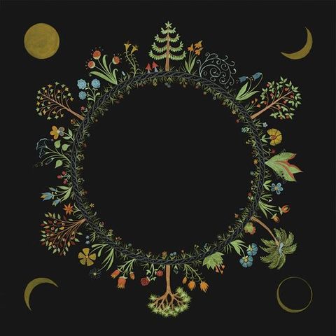 Laura,Stevenson,‎–,Wheel,LP,Laura Stevenson, Wheel, Don Giovanni, LP, vinyl