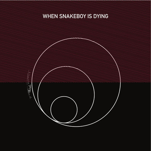 Robert,Piotrowicz,‎–,When,Snakeboy,Is,Dying,LP,Robert Piotrowicz, When Snakeboy Is Dying, Musica Genera, LP, vinyl