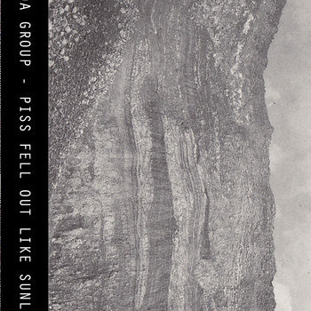 Wanda,Group,‎–,Piss,Fell,Out,Like,Sunlight,LP,Wanda Group, Piss Fell Out Like Sunlight, Opal Tapes, LP, vinyl