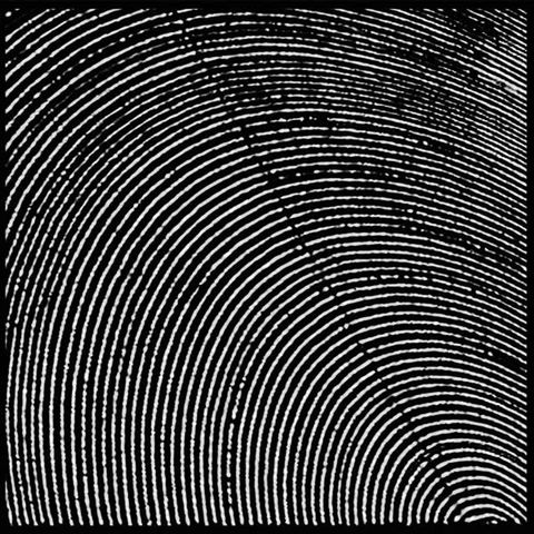 Metasplice,‎–,Infratracts,2xLP, Infratracts, LP, Morphine Records