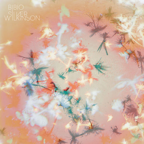 Bibio,‎–,Silver,Wilkinson,LP, Silver Wilkinson, Warp, Vinyl, vinilo, comprar, twosteprecords, two step records, Two-Step Records