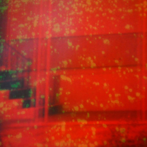 Nicholas,Bullen,‎–,Component,Fixations,LP,Nicholas Bullen, Component Fixations, Type, LP, vinyl
